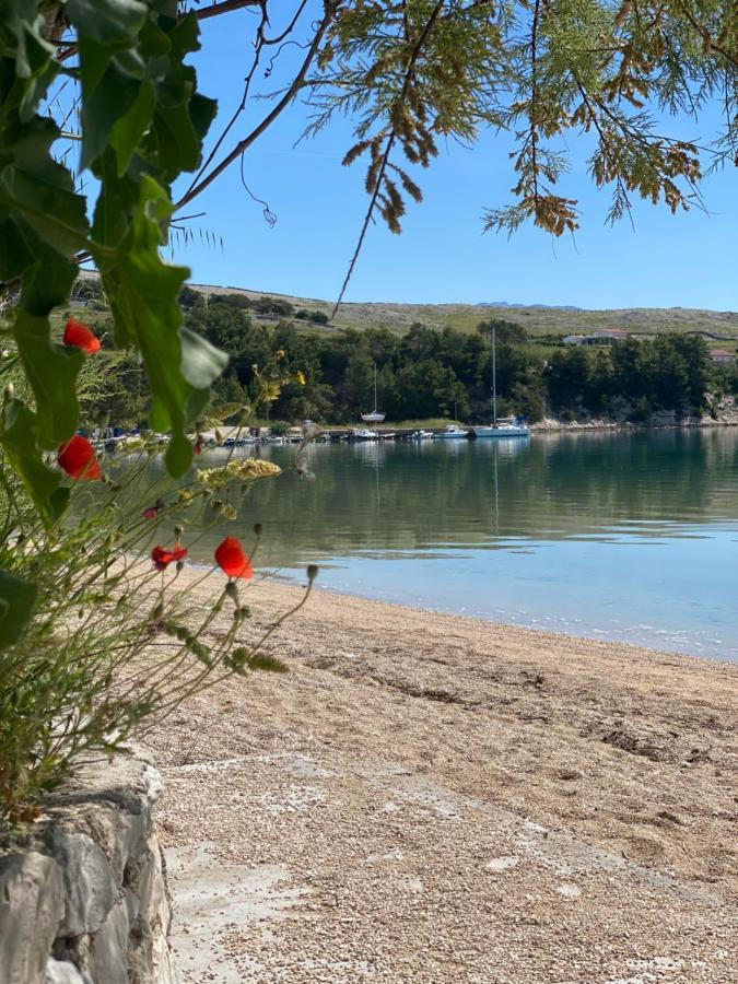 Villa Cvita Povljana Kültér fotó