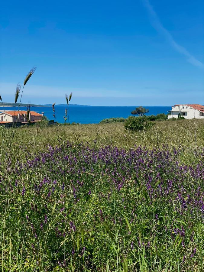 Villa Cvita Povljana Kültér fotó