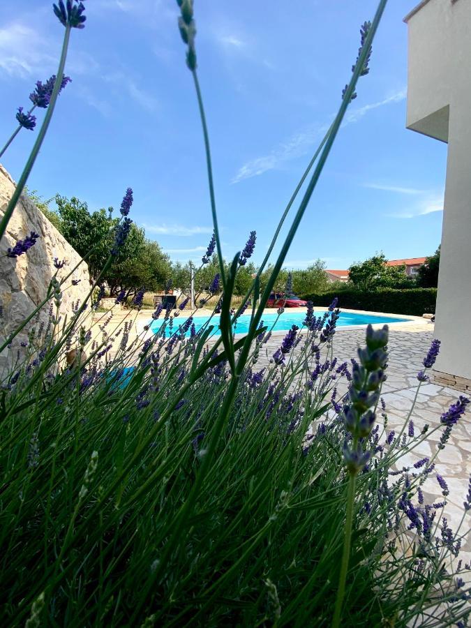 Villa Cvita Povljana Kültér fotó